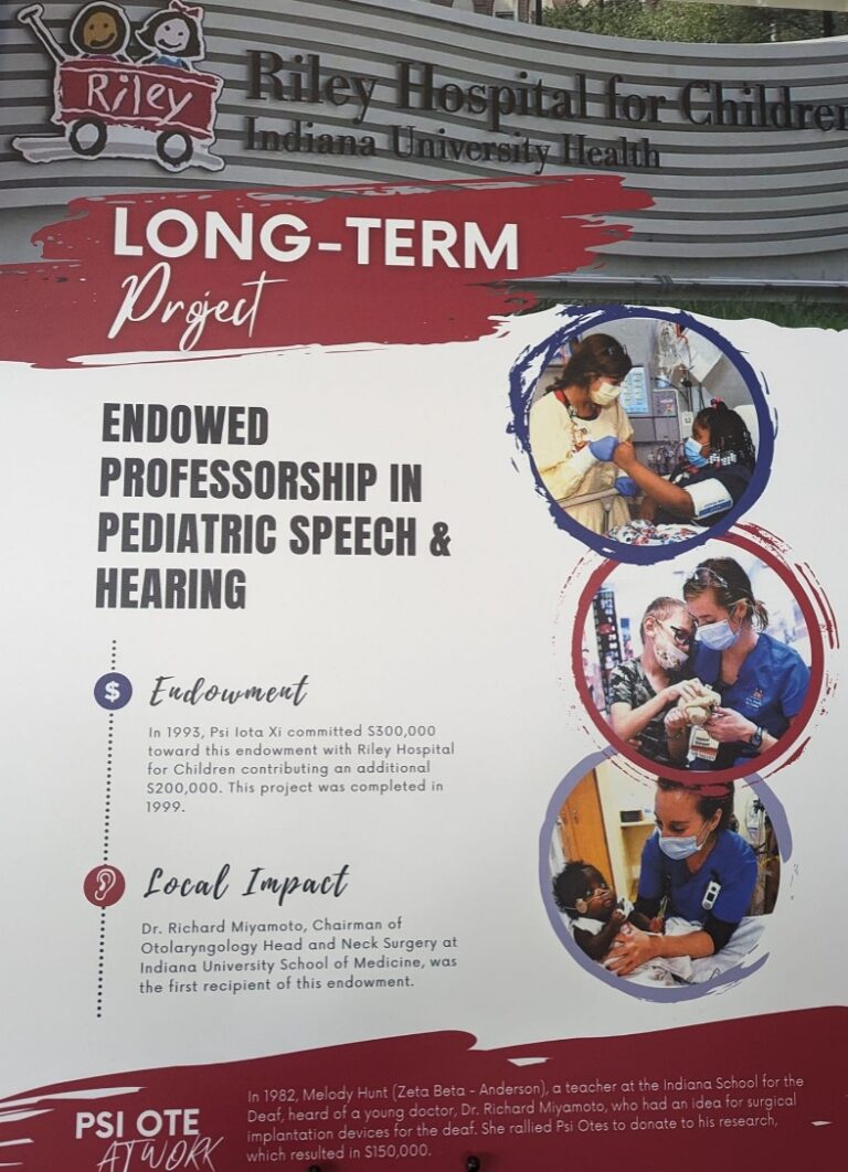 Long Term Project: Endowed Professorship