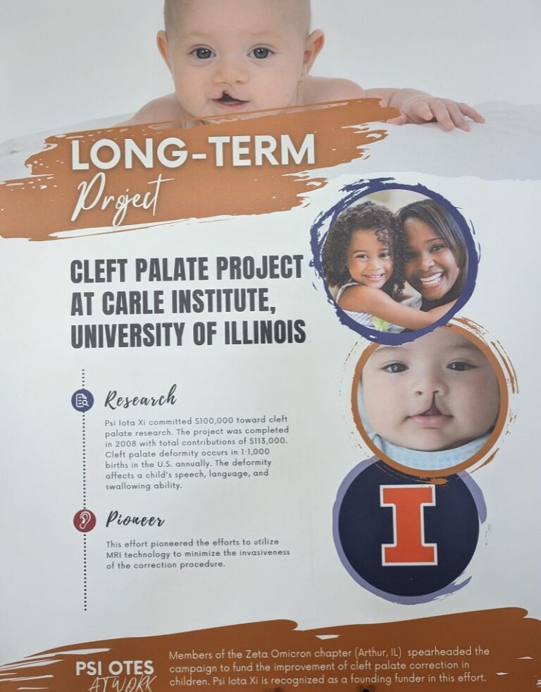 Long Term Project: Cleft Palate at Carle Institute