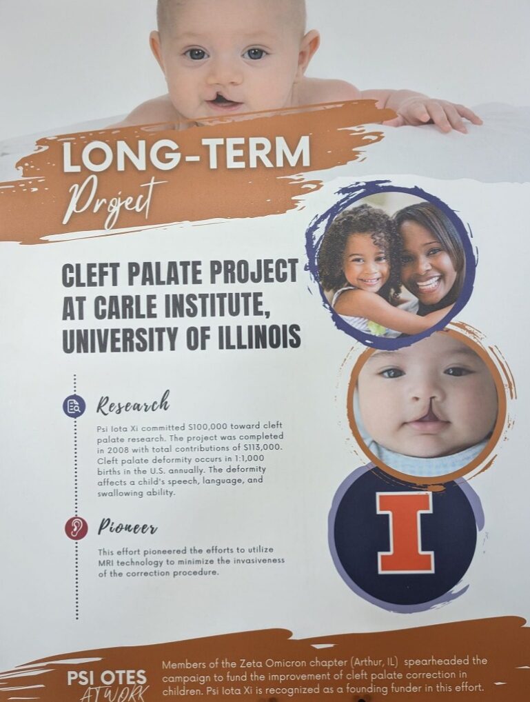 Long Term Project: Cleft Palate at Carle Institute